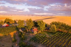 Arial picture of the Armstrong farmstead